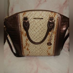 Beautiful Brahmin! Excellent Used Condition!